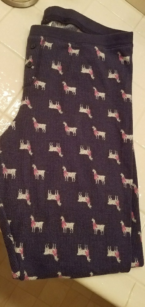 Thermal PJ pants
